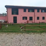 Dalla Gina E Paolino