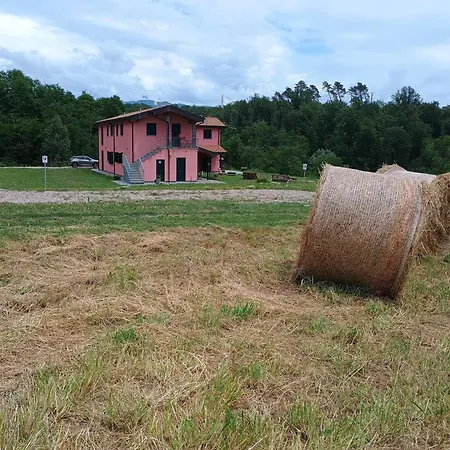 Dalla Gina E Paolino 3*