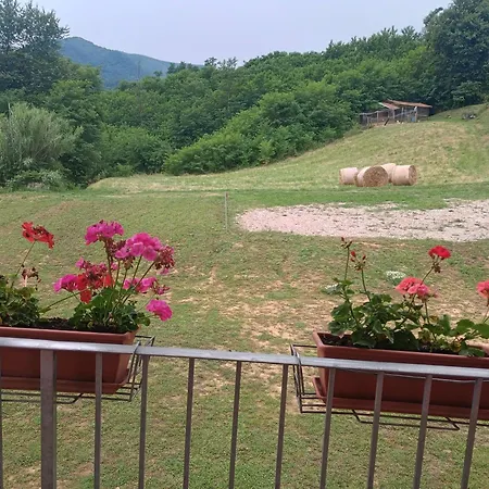 Dalla Gina E Paolino Guest house